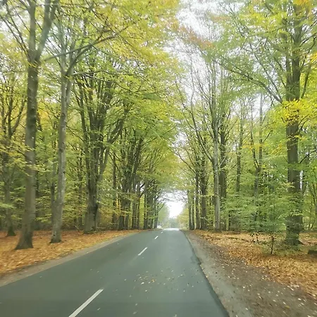 Dom wakacyjny 6 Person In Henne-by Traum Henne Strand