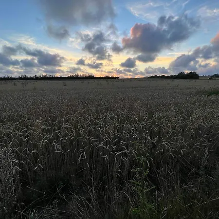 Dom wakacyjny 6 Person In Henne-by Traum *