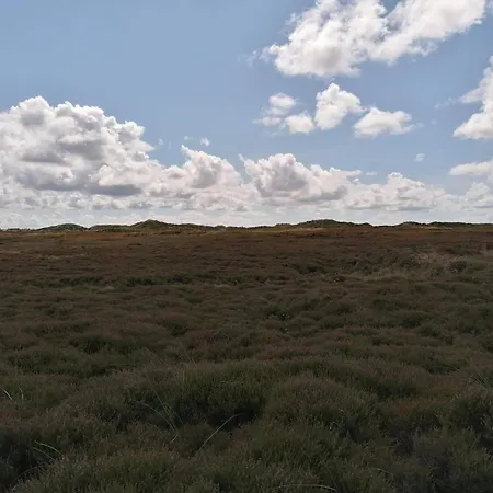 6 Person In Henne-by Traum