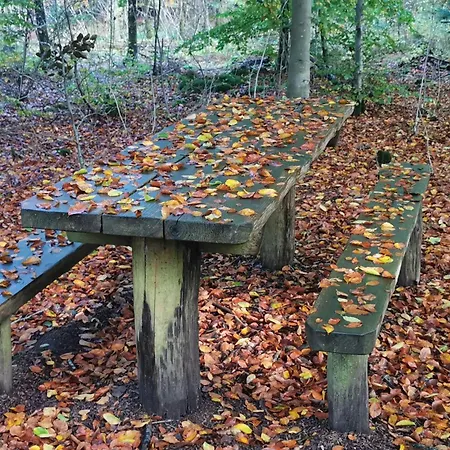 Dom wakacyjny 6 Person In Henne-by Traum *