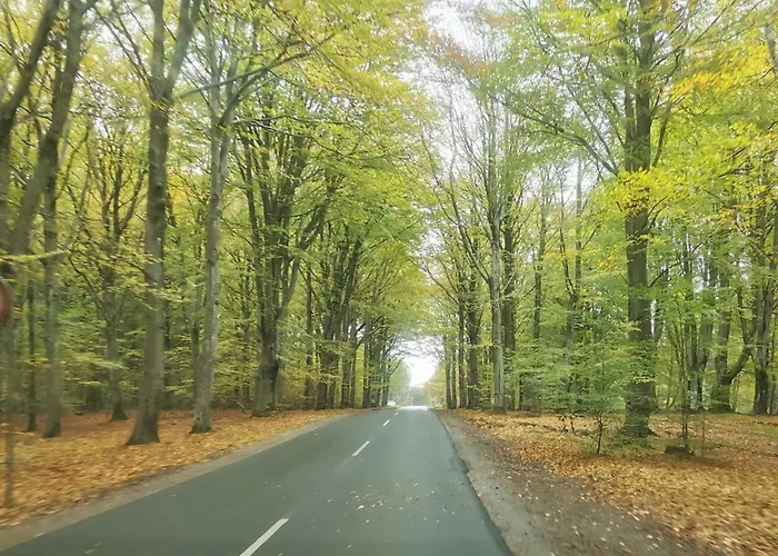 بيت للعطل 6 Person In Henne-by Traum هين ستراند