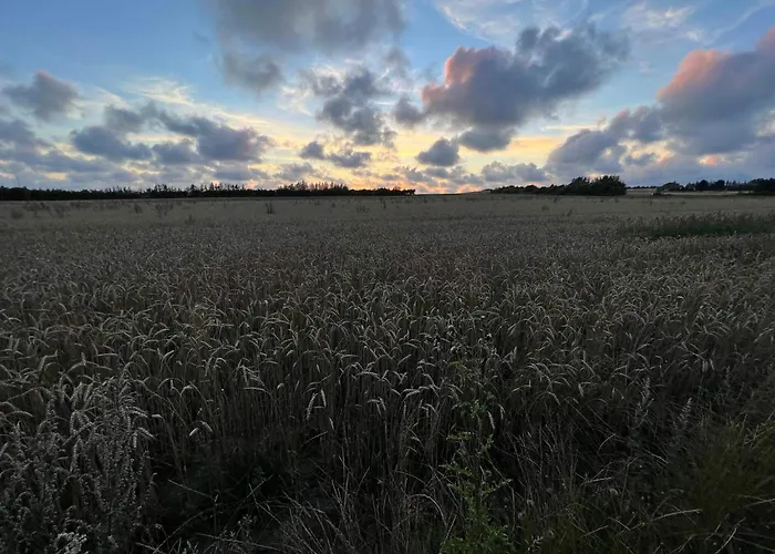 بيت للعطل 6 Person In Henne-by Traum *