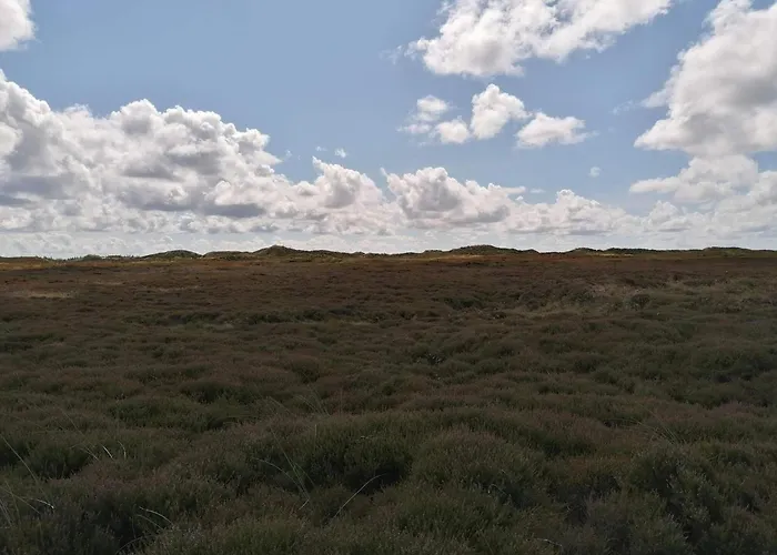 6 Person In Henne-by Traum