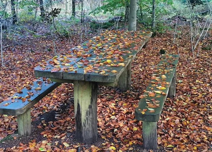 بيت للعطل 6 Person In Henne-by Traum *