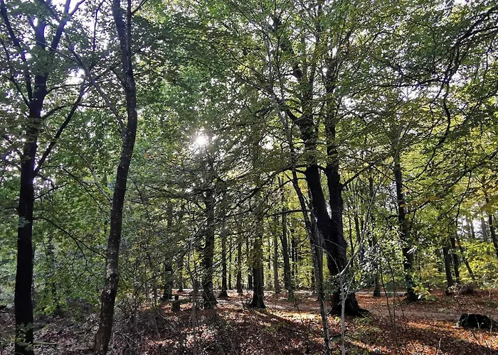 6 Person In Henne-by Traum * هين ستراند