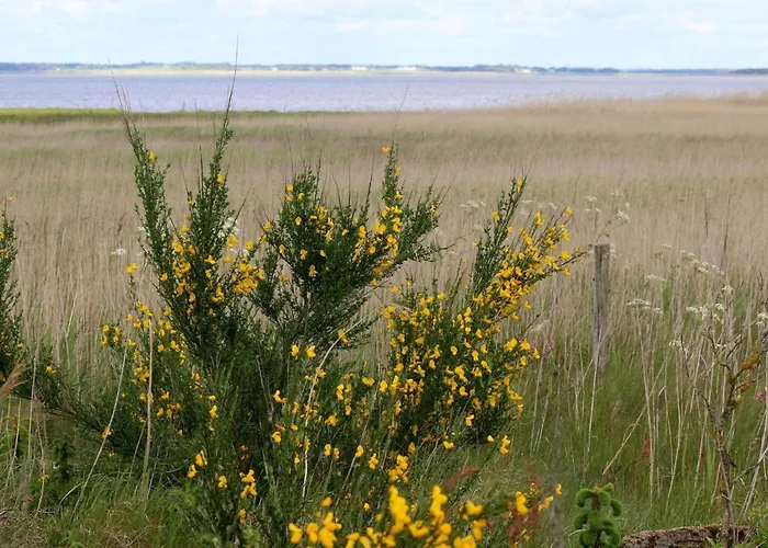 6 Person In Henne-by Traum بيت للعطل